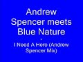andrew spencer meets blue nature - i need a hero (andrew spencer mix)