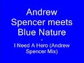 andrew spencer meets blue nature - i need a hero (andrew spencer mix)