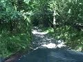 lake district grizedale forest greenlane 'the fox' start