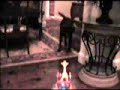 Labrador   Retriever  Scared of Child's Toy