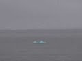 Alaska   cruise -Sailing to Ketchikan