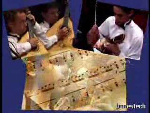 Madeira Mandolin Orchestra DVD  ...