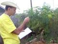 for Ron Paul supporters only, secret illegal drug smuggled super plant, endless food medicine and fuel