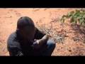 A Zimbabwean Exodus - 12 July 2007