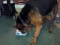 Tysa opening his birthday presents