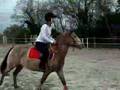 a poney pour paques
