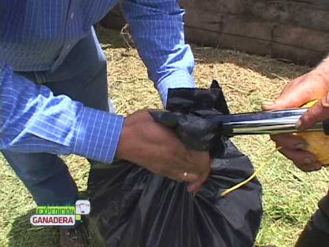 ensilaje en bolsa - Conozca el proceso de conservación de pasto; sin reducir su contenido de humedad.