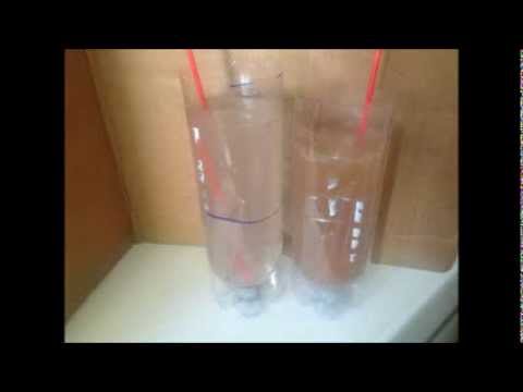 how to harvest artemia