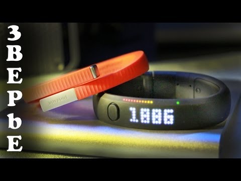 Jawbone Up 24 Против Nike+ Fuelband SE