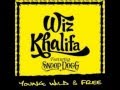Young and Wild and Free Lyrics- Wiz Khalifa