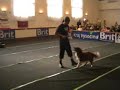 The Championship of the CZ - 5th Freestyle