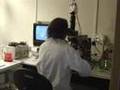 Inserm U641 Neurobiologie des canaux ioniques