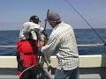 Becca-Marie Charter Fishing out of Paignton UK