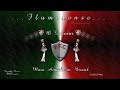 fluminense samba rio de janeiro e brasil perfeito!