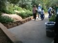 Misael Touring the Snake House at the Cameron Park Zoo in W