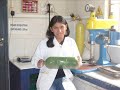 IV PROMOCION PROCESAMIENTO DE MINERALES IV PROMOCION PROCESAMIENTO DE MINERALES