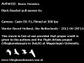 Black-headed Gull passes by