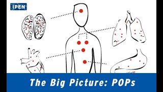 IPEN: International POPs Elimination Network