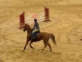 CSO Villepreux Nadege 2