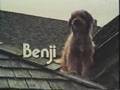 benji
