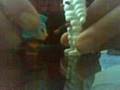 videos de pamela hardcoreszene