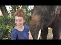 An out-take from the film of Peter the Elephant playing with a Samsung Galaxy Note (youtu.be