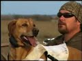 WaterDog 2008 Trailer WaterDog 2008 Trailer