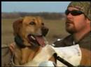 waterdog 2008 Trailer