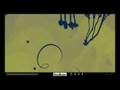 PixelJunk(TM) Eden Sunday 07 September 2008, 06:01:17 AM