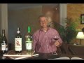 ViniCode Quicklook Video