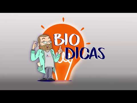 BioDicas GEOGRAFIA RELEVO