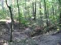 videos de leś tailwhip