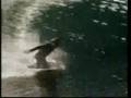 cutback, edgespoon.com