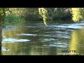 Documental Costa da Morte (Galicia). Ponteceso