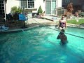 Eleanore jumping like a dolphin
