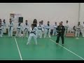 Taekwondo black tiger carinaro 2006