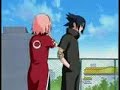 Sasuke and Sakura-Miracle
