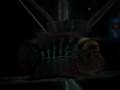 videos de flowerhorn GBH