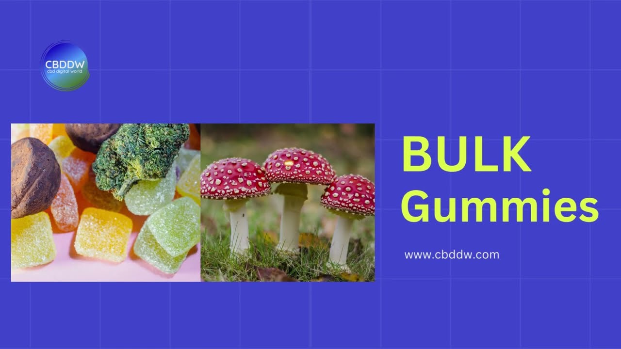 BULK Gummies Hemp and Mushroom Offering