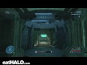 No scope