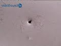volksfreundtv: Vandalismus bei Trierer Autoh�ndlern