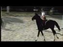 Hunter in fun show