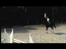 Hunter in fun show