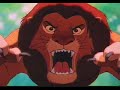 Lion King slide show Lion King slide show