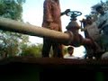 Centrifugal Pump for Boiled Peas Centrifugal Pump for Boiled Peas