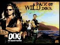 FREE -- Dog The Bounty Hunter