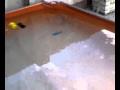 (uploaded by alehawk)&nbsp;My Sub in my Pool