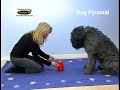 PetsFriends Nina Ottosson Dog Pyramid