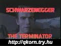 terminator 3 parody