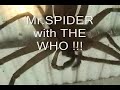 Spider- with theWho !!!